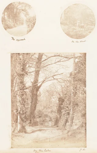 The Approach; In the Wood; By the Lake by James Knight, photograph, 1853-1856