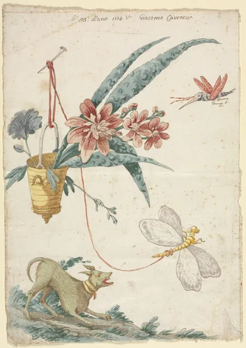 Floral Design with Dog and Insects by Giacomo Cavenezia, drawing, 1774