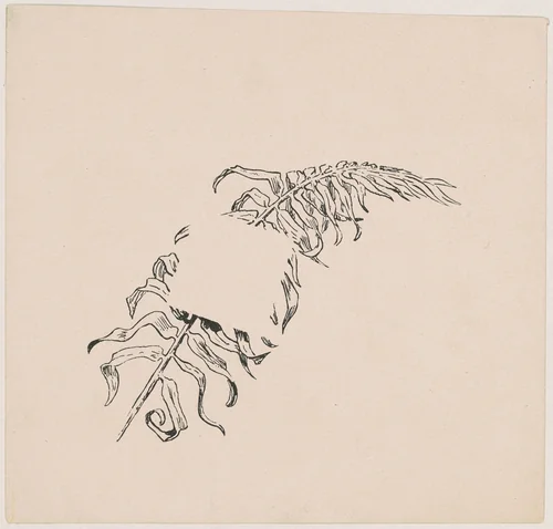 Branch by James Henry Moser, print, 1892