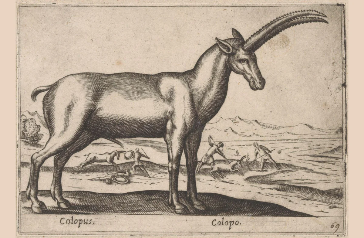Geitachtige by Antonio Tempesta, print, 1565-1630