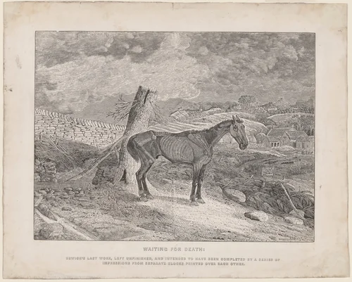 Waiting for Death by Thomas Bewick, print, 1828
