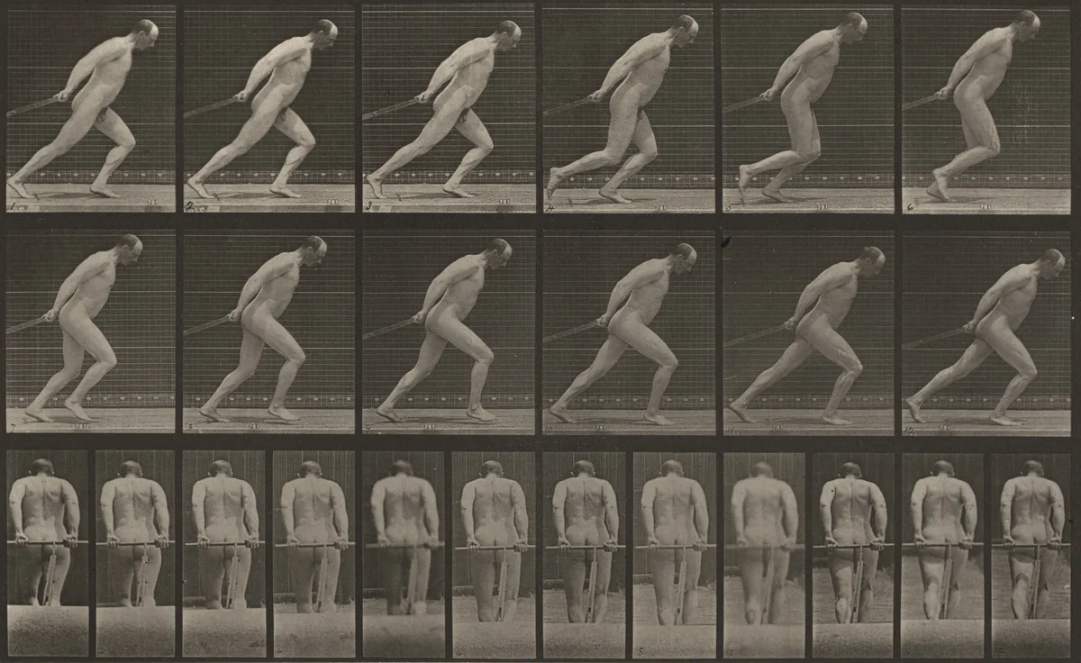 Plate Number 392. Dragging a garden roller by Eadweard Muybridge, photograph, 1887