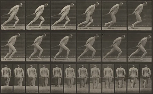 Plate Number 392. Dragging a garden roller by Eadweard Muybridge, photograph, 1887