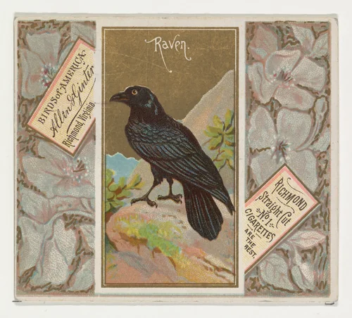 Raven, from the Birds of America series (N37) for Allen & Ginter Cigarettes by Allen & Ginter, print, 1888