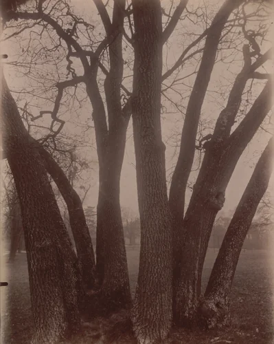 Bagatelle by Eugène Atget, photograph, 1910