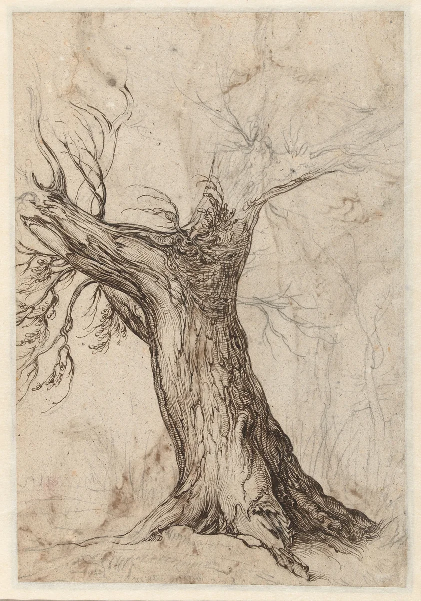 Kastanjeboom met enkele bomen eromheen by Jacques de Gheyn, drawing, 1598-1608