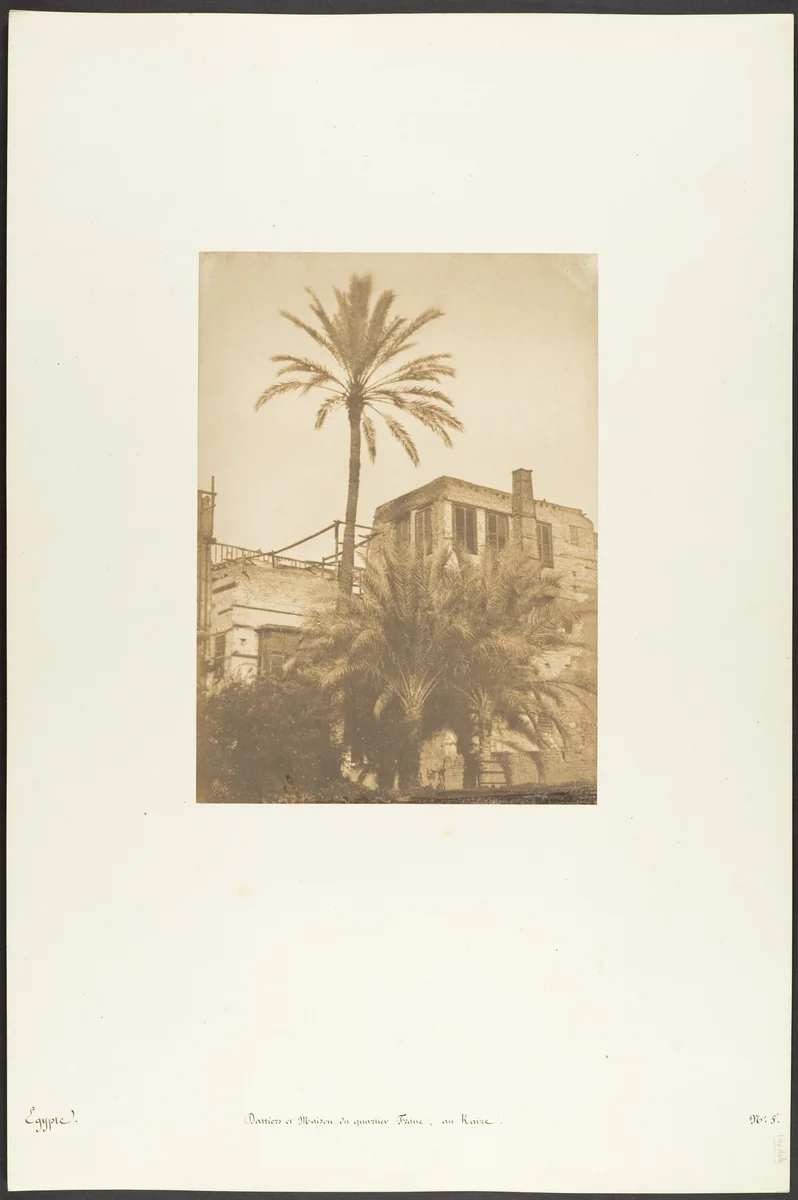 Dattiers et Maison du quartier Franc, au Kaire by Maxime Du Camp, photograph, 1849-1850