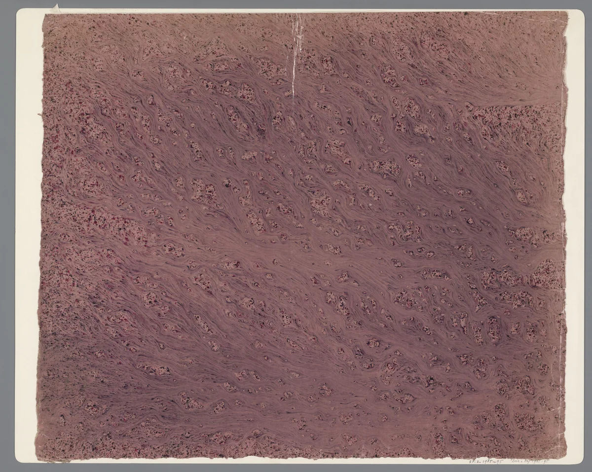 Stroommarmer in rood en zwart op roze papier by anonymous, other, 1850-1950