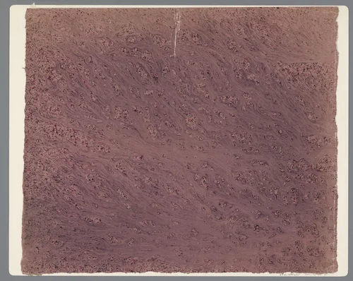 Stroommarmer in rood en zwart op roze papier by anonymous, other, 1850-1950