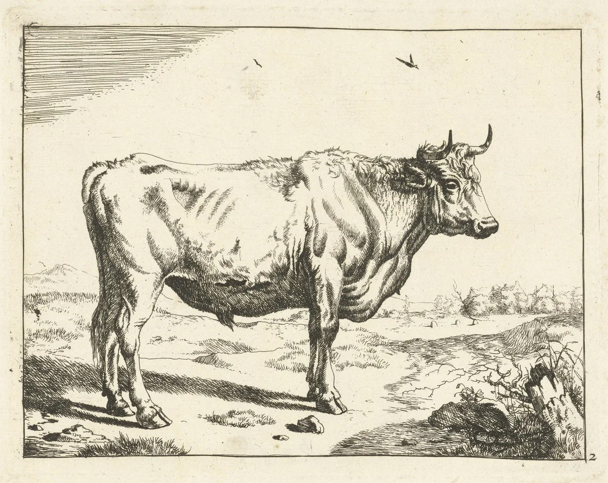 Stier, staand naar rechts, met vogels by Marcus de Bye, print, 1657-1677