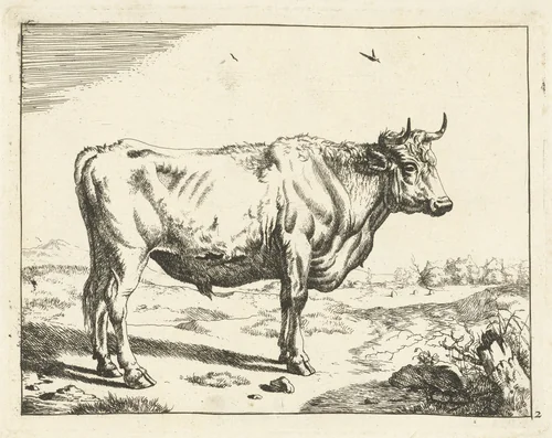Stier, staand naar rechts, met vogels by Marcus de Bye, print, 1657-1677