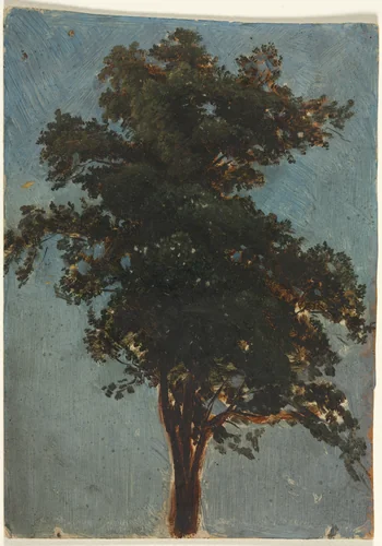 Tree Study by Alexandre Calame, drawing, 1825-1864