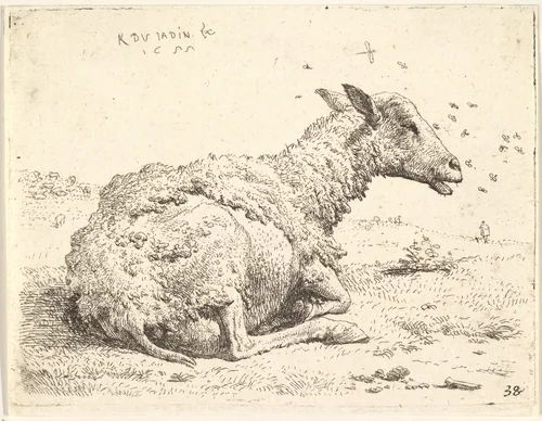 Partially shorn sheep lying in the grass with insects hovering around its head by Karel Dujardin, print, 1655