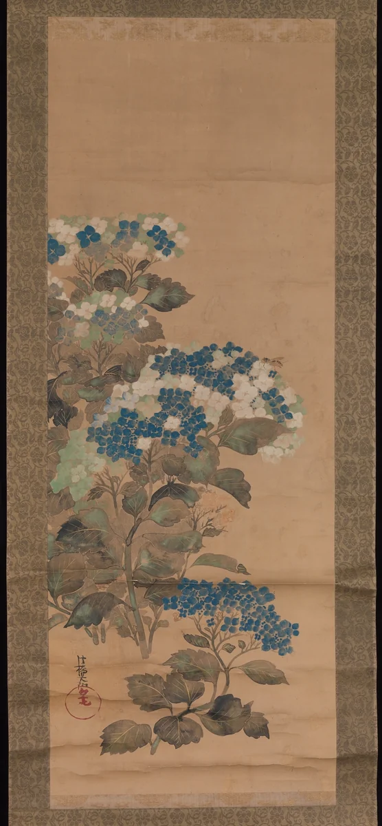 Hydrangeas by Ogata Kōrin, painting, 1700-1716