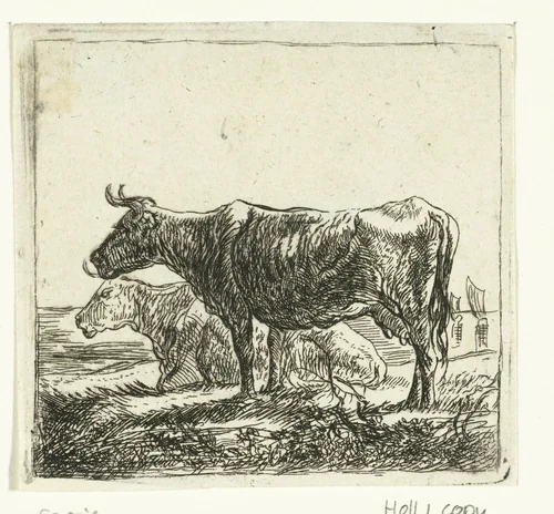 Twee koeien op rivieroever by anonymous, print, 1630-1691