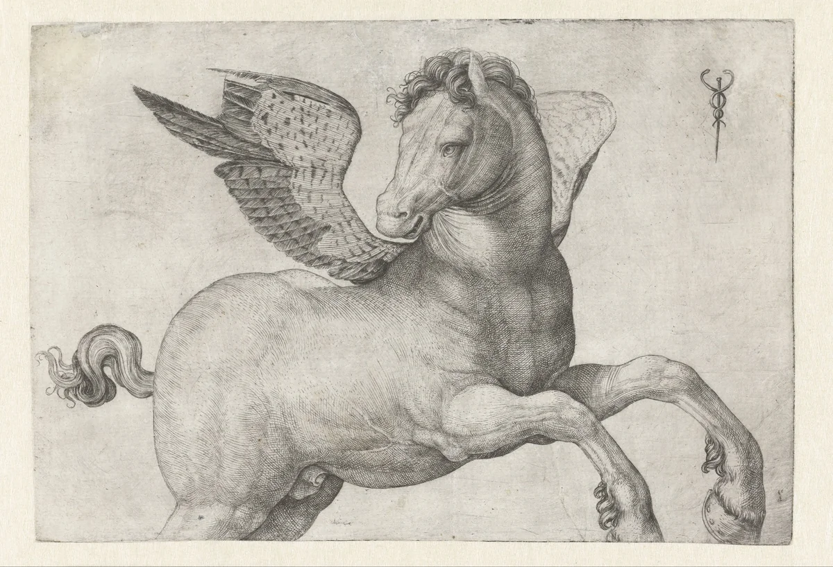 Pegasus by Unknown, print, 1509-1516