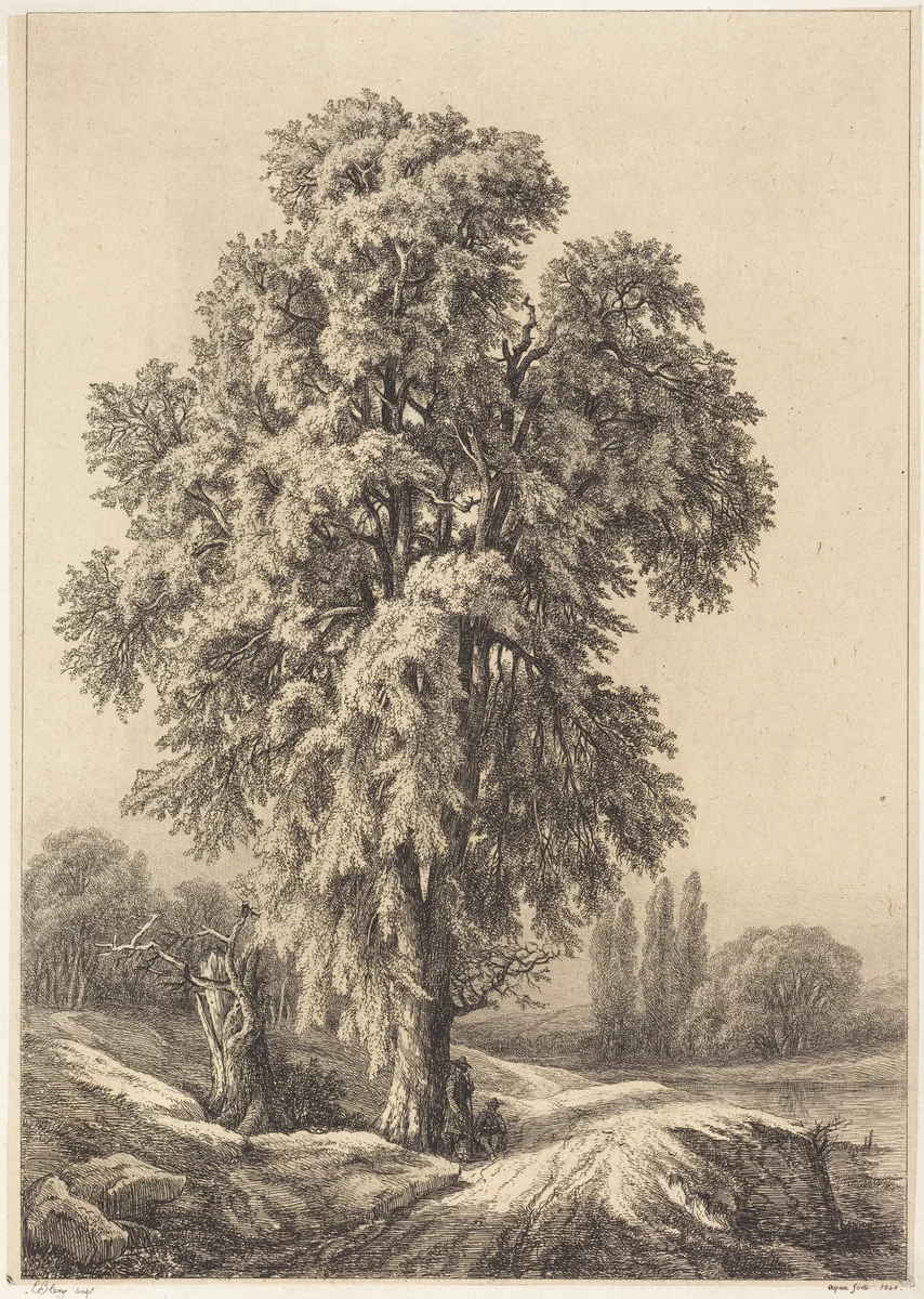 The Elm Tree by Eugène Bléry, portfolio, 1840