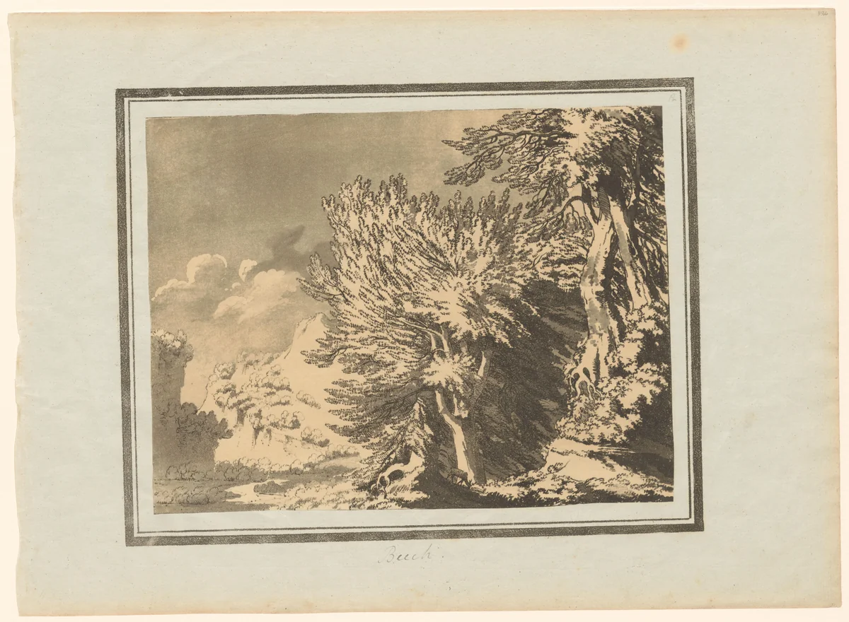 Beech by John Robert Cozens, print, 1789