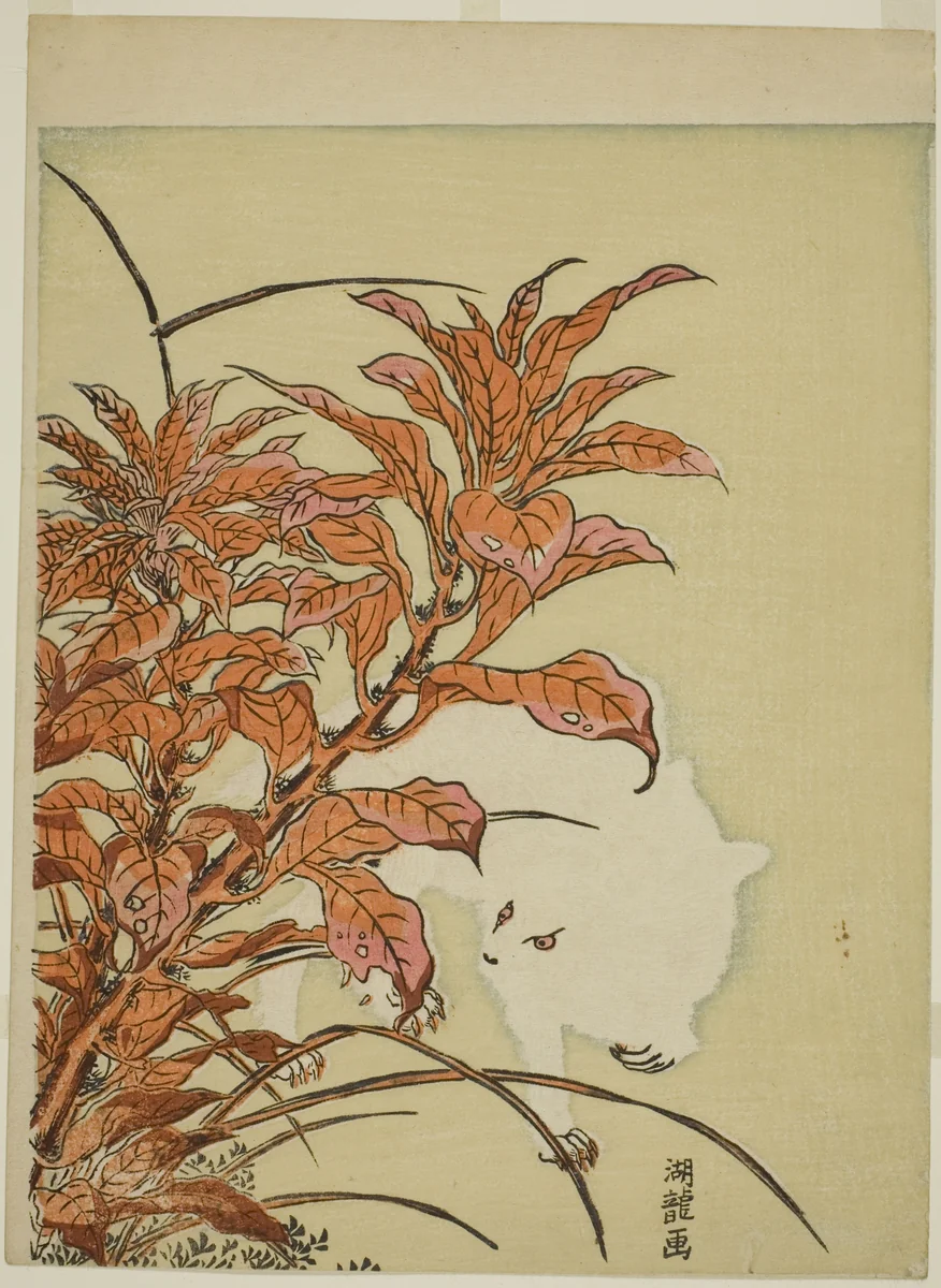 White Rabbit and Amaranth by Isoda Koryusai, print, 1766-1776