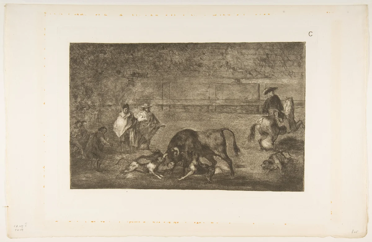Plate C: The dogs let loose on the bull, from "Tauromaquia" by Goya, print, 1811-1821