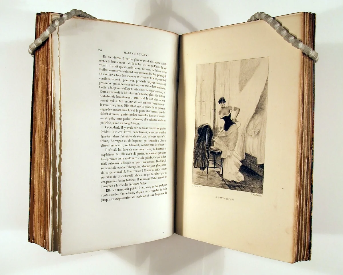 Madame Bovary by Gustave Flaubert, book, 1885