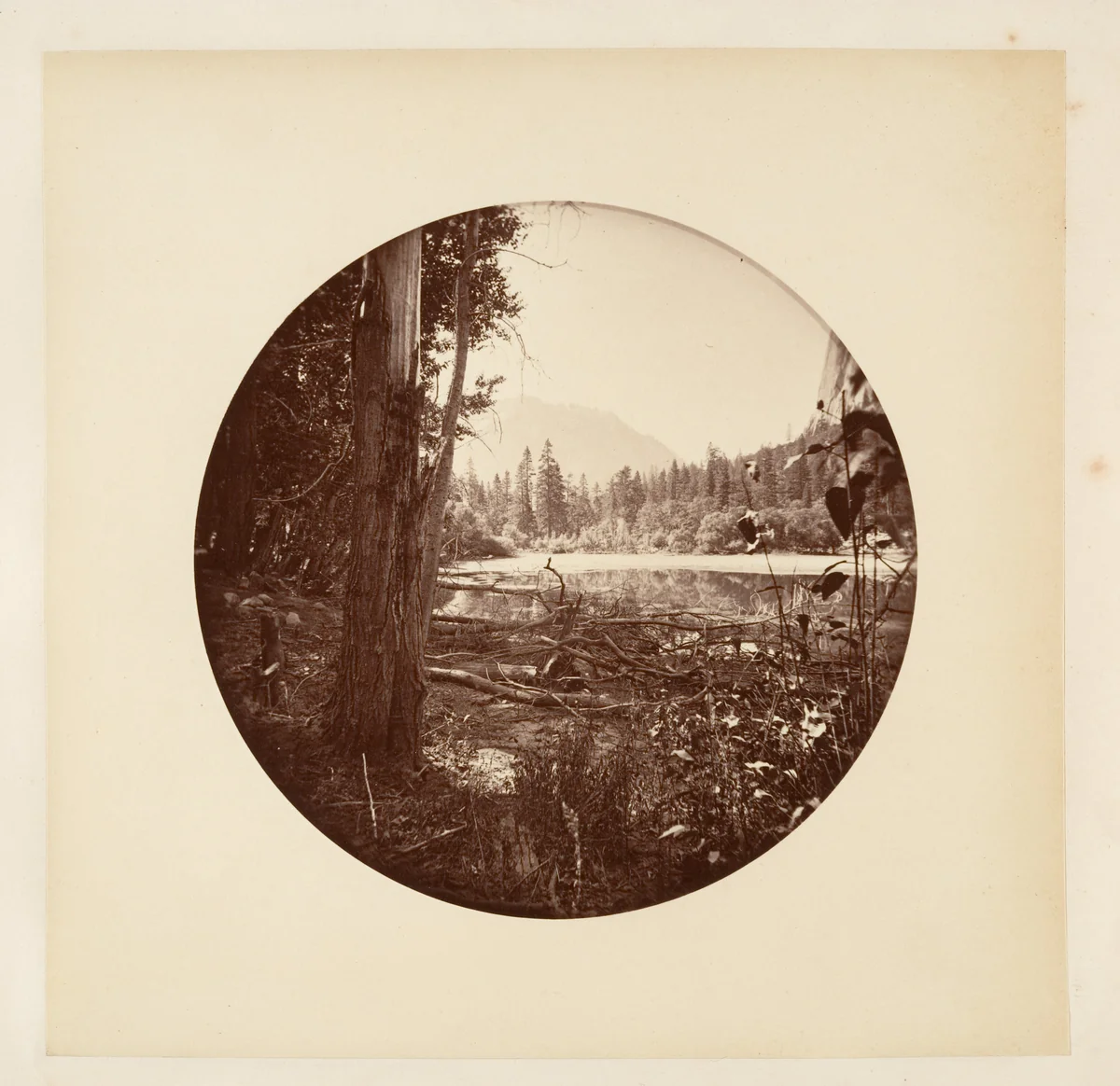[Yosemite National Park, California] by Carleton E. Watkins, photograph, 1876-1880