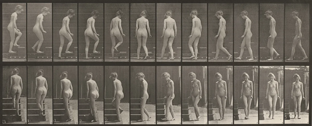 Plate Number 98. Turning and ascending stairs by Eadweard Muybridge, photograph, 1887