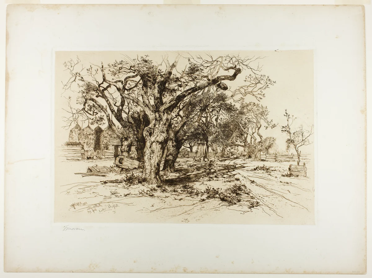 Mulford's Orchard, Easthampton by Thomas Moran, print, 1883