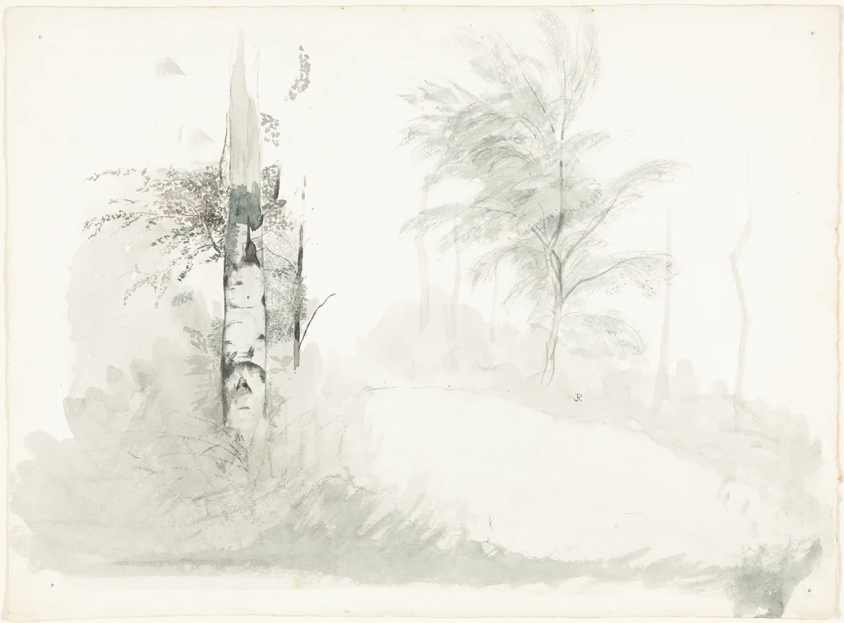 Tree Study by John Ruskin, drawing, 1845-1855