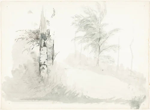 Tree Study by John Ruskin, drawing, 1845-1855