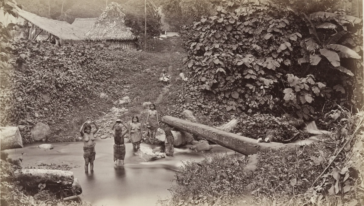 A Roadside Scene, San Isidro by Eadweard Muybridge, photograph, 1875