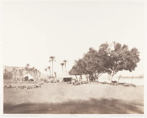 Korósko, Sycomores et Campement d'une Caravane pour le Sennâr by Félix Teynard, photograph, 1851-1852