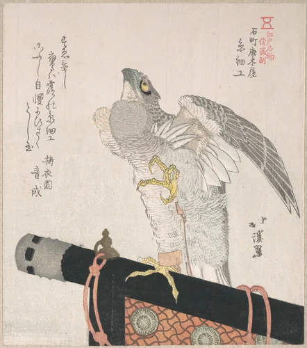 Hawk Made of Silk; Specialities of Karakiya in Kokucho by Totoya Hokkei (魚屋北渓), print, 1800-1899