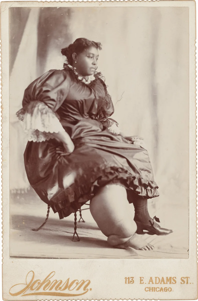 Portrait of a Woman by J. Scott Johnson, photograph, 1885-1899