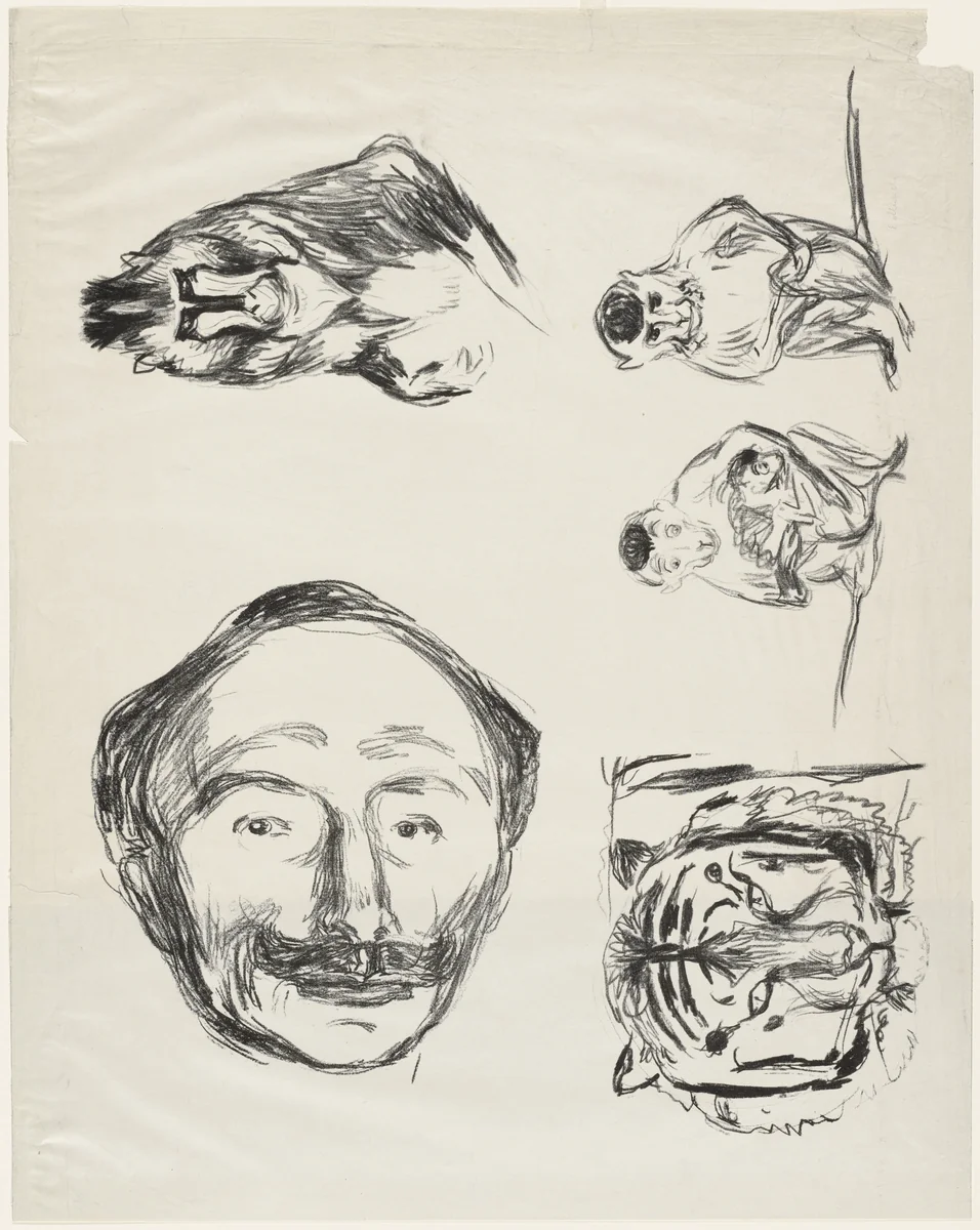 Four Studies (Portrait of Goldstein, Gorilla, Family of Monkeys and Tiger's Head) by Edvard Munch, print, 1908