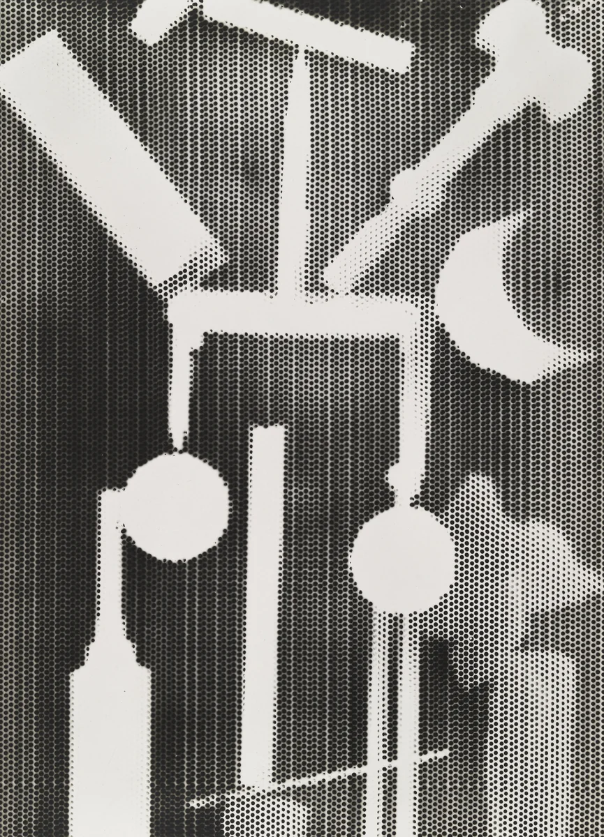 Untitled (plate 8) from the album Champs Délicieux by Man Ray, photograph, 1922