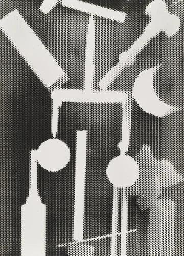 Untitled (plate 8) from the album Champs Délicieux by Man Ray, photograph, 1922