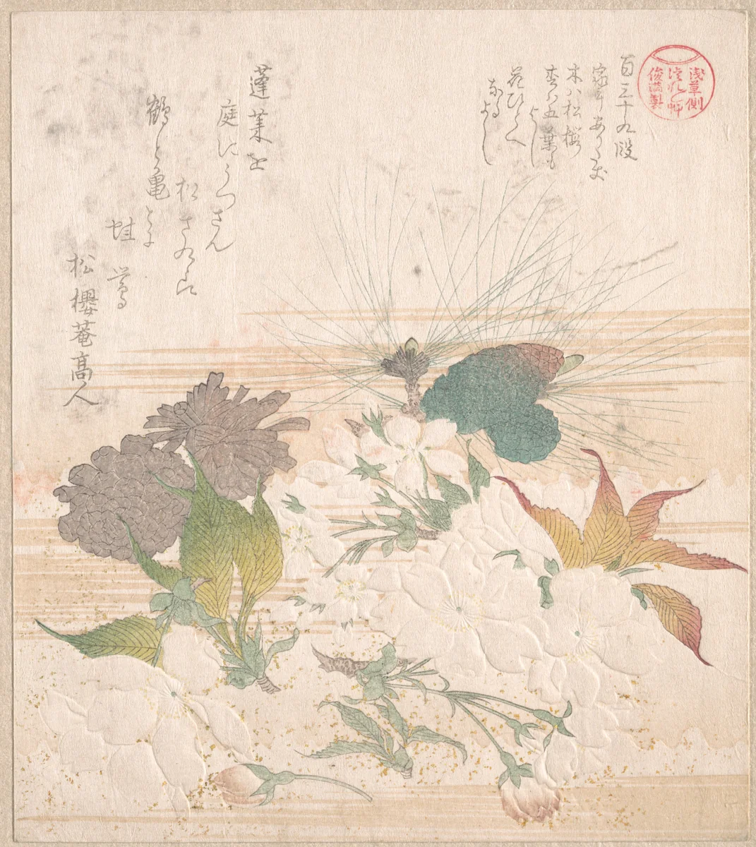 Cherry Blossoms and Pine Cones by Kubo Shunman (窪俊満), print, 1800-1899