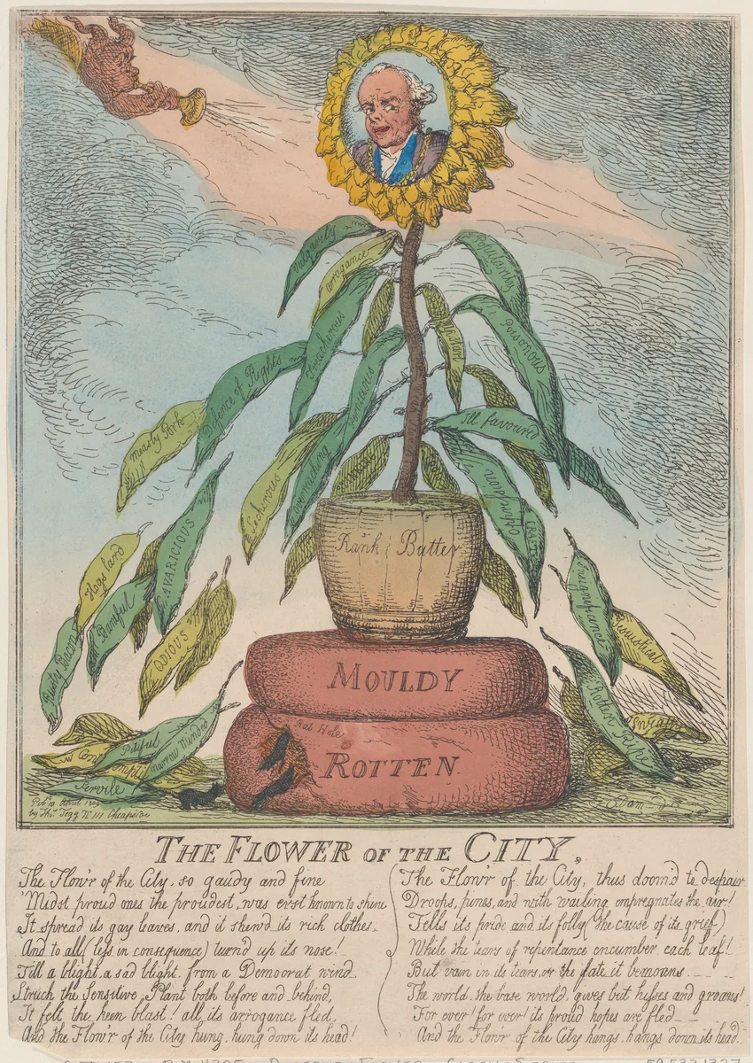 The Flower of the City by Thomas Rowlandson, print, 1809