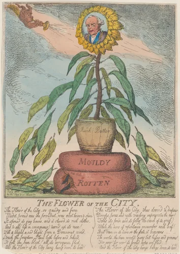 The Flower of the City by Thomas Rowlandson, print, 1809