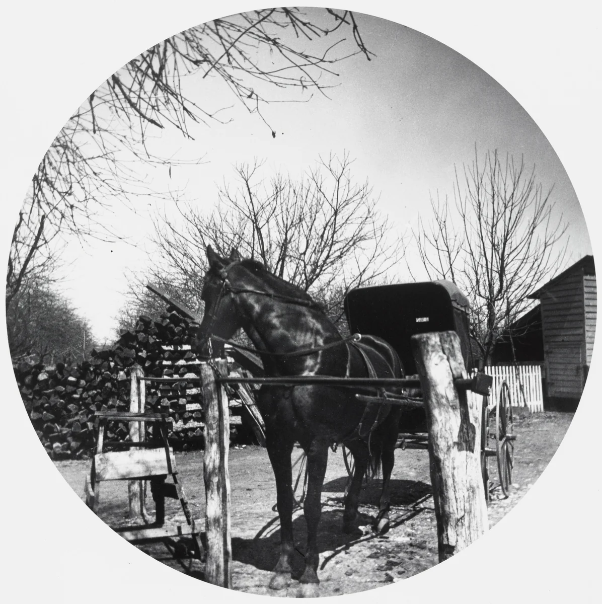 Untitled by Horace M. Engle, photograph, 1888