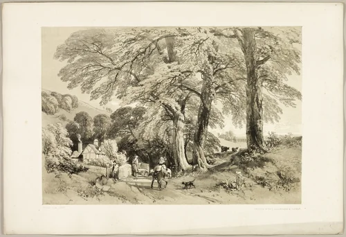 Wych Elm, from The Park and the Forest by James Duffield Harding, print, 1841