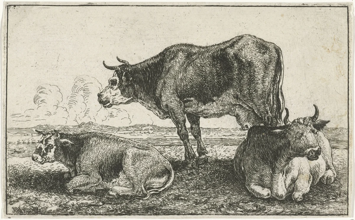 Drie koeien by Jan van den Hecke, print, 1656