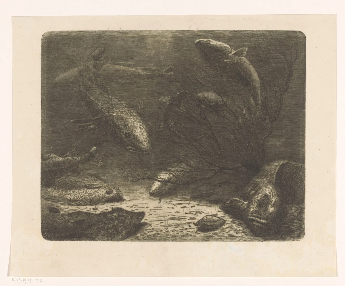 Aquarium by August Le Gras, print, 1887