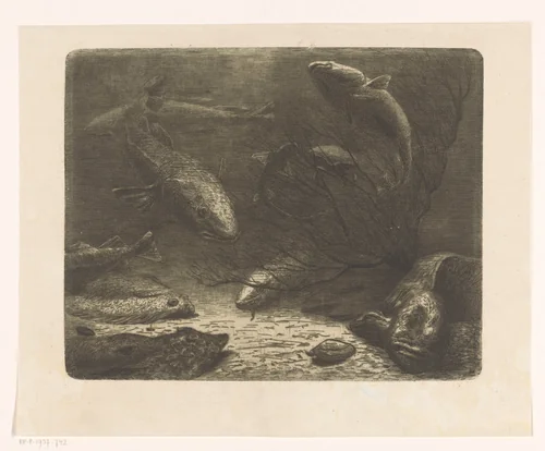 Aquarium by August Le Gras, print, 1887