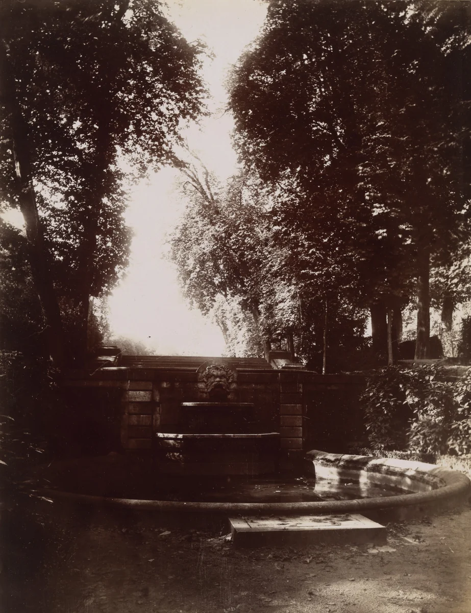 Saint-Cloud by Eugène Atget, photograph, 1904