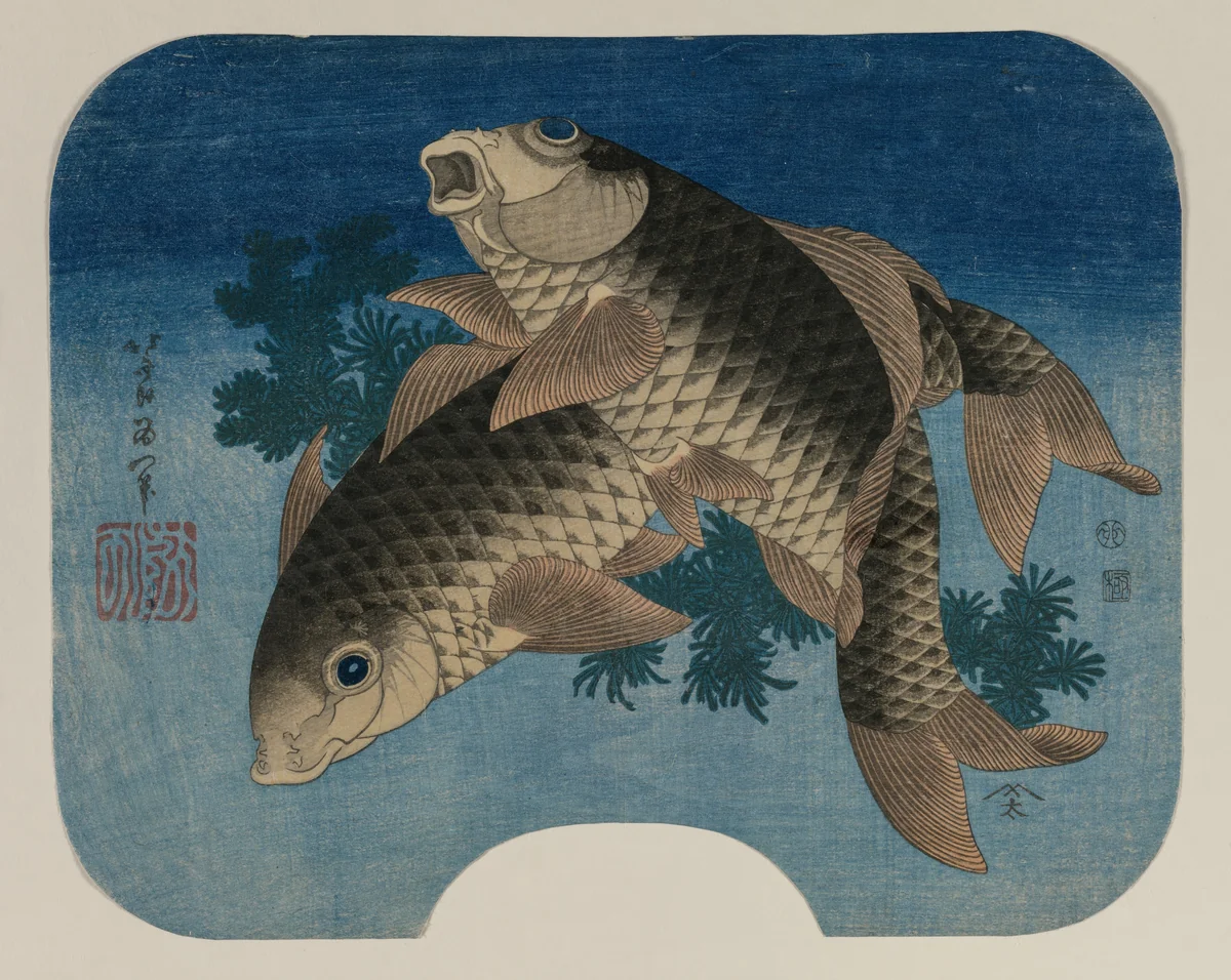 Carp Swimming by Water Weeds by Katsushika Hokusai (葛飾 北斎), print, 1831
