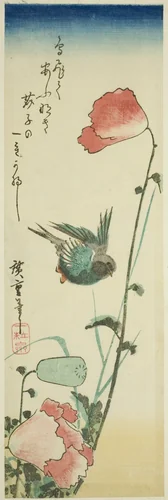 Swallow and poppies by Utagawa Hiroshige (歌川広重), print, 1830-1839
