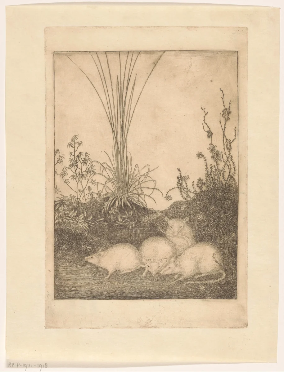 Vier muizen by Jan Mankes, print, 1916