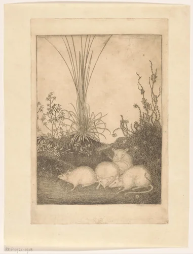 Vier muizen by Jan Mankes, print, 1916